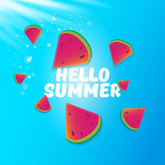 Vector Hello Summer Beach Party Flyer Design template with fresh watermelon slice isolated on blue sky background. Hello summer concept label or poster with fruit and typographic text