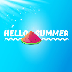 Vector Hello Summer Beach Party Flyer Design template with fresh watermelon slice isolated on blue sky background. Hello summer concept label or poster with fruit and typographic text