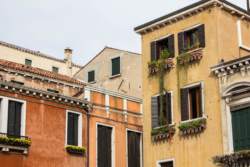 Fototapeta na wymiar Facades of multi-level buildings in the inner residential courtyard of Venice. Green plants on the facade of the building and on the windows, shutters, flowers on the balconies and window sills.
