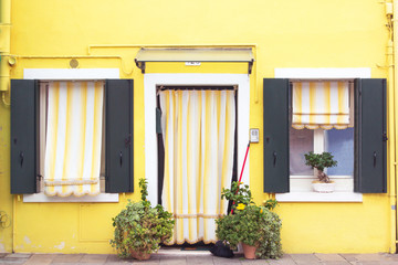 Nice yellow painted facade of a residential building. Open wooden shutters on the windows and curtains, flowers and plants at the entrance to the house and a money tree on the windowsill. Home comfort