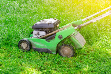 Lawn mower mows the grass in the park. Landscape design, garden work