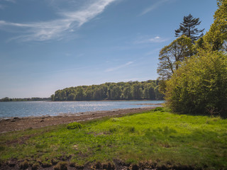 Beautiful nature around Castle Ward in Northern Ireland - travel photography