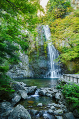 Fototapeta na wymiar The Waterfall