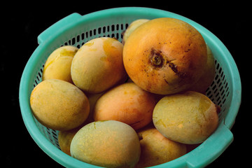 Ripe Mangoes In a Basket which is a prime fruit of summer in West Bengal.