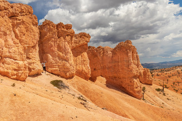 Fototapeta na wymiar Bryce Canyon National Park, Utah, USA