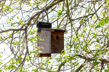 Hut and feeder for wild birds. With food for birds.