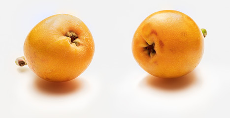 Two fresh loquats (medlars). Isolated on white background. Close-up.