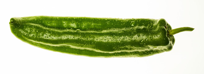 Very fresh green pepper (with drops of water). Isolated on white background.