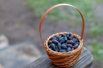 Fototapeta na wymiar basket with berries on the step