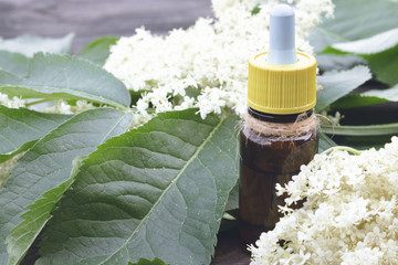 Elderberry bottled oil, fresh flowers.