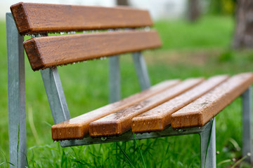 Naklejka premium Brown wooden park bench with rain drops in front of a green meadow