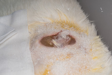 Fototapete bei efototapeten.de bestellen   