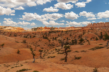 Bryce Canyon National Park, Utah, USA