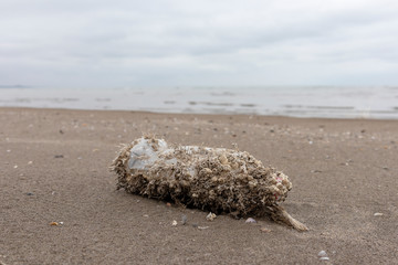 Old plastic bottle on the beach - say no to plastic