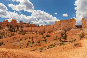 Hiking trail at Bryce Canyon National Park, Utah, USA
