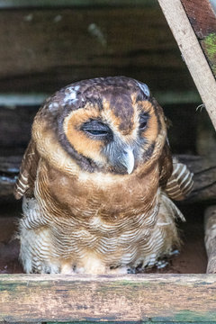 Bird park Taman Burung in Kuala Lumpur