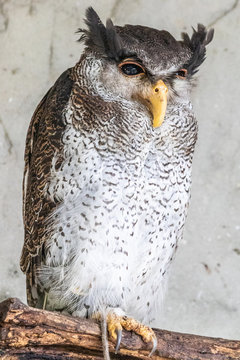 Bird park Taman Burung in Kuala Lumpur