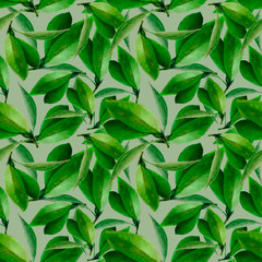 watercolor seamless pattern of leaves on a pale green background