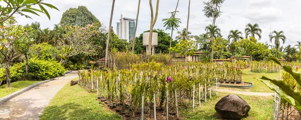 Gordijnen KL-toren gezien vanuit de Botanische tuin in Kuala Lumpur © johnhofboer50