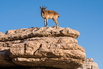Torcal de Antequera (Málaga) España