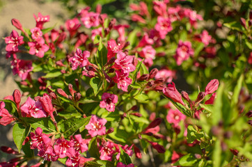  wonderful world around us