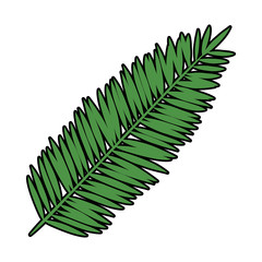 exotic leaf palm tropical icon