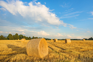 Stroh, Heu auf dem Feld im Sommer