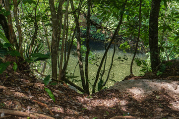 Chichén Itzá river in Yucatán, México. New7Wonders of the World.