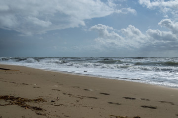 Fototapeta na wymiar flotsam at the beach on a stormy day