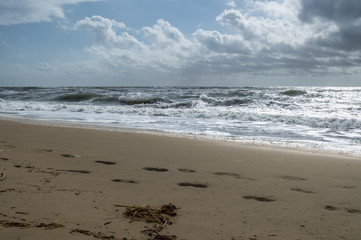 flotsam at the beach on a stormy day