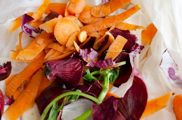 Organic waste in Biodegradable Plastic Bag