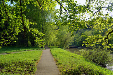 Fototapeta na wymiar Footpaths and pond in the park near Moscow