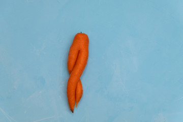 Ugly strange carrot on blue bakground. Image with copy space, top view.