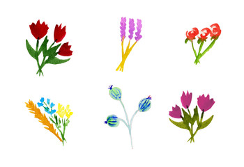 Watercolor spring summer flowers set. Hand drawn illustration
