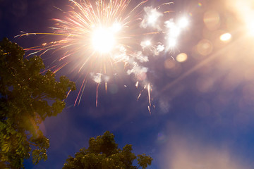 fireworks in the sky