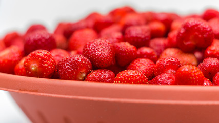 just fresh red strawberries without green leaves