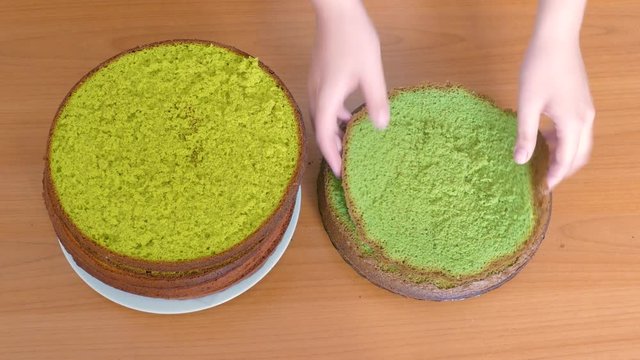 Women's hands shift multi-colored sponge cakes