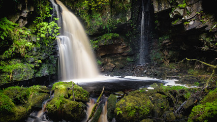 A small, undisturbed and uncultivated waterfall located within a forest in County Donegal, Ireland.
