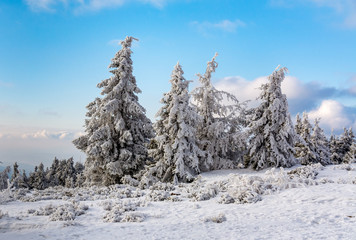 winter mountain landscape