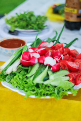 a picnic in the summer on the nature. on a plate of chopped fresh vegetables: tomatoes, cucumbers, radishes, salad.