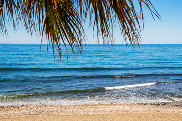 Fototapeta na wymiar The Mediterranean Sea behind fan palm leaves at a Costa del Sol sandy beach in Marbella, Province of Malaga, Andalusia, Spain