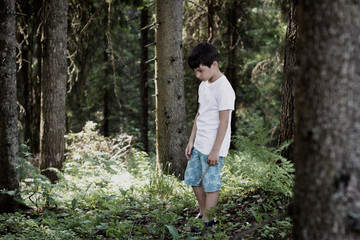 The child in the forest, escaped from the house and was lost, the heavy relations in family, trouble, disagreement, physical punishments, the concept of problems of the relation of adults and children