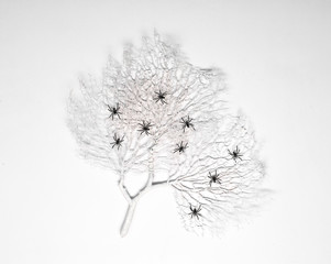 Halloween background, white tree with spiders on a white background