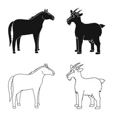 Vector illustration of breeding and kitchen  icon. Set of breeding and organic  vector icon for stock.