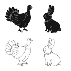 Vector design of breeding and kitchen  sign. Collection of breeding and organic  stock vector illustration.