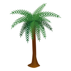 tree palm summer isolated icon