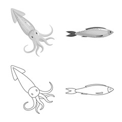 Isolated object of fresh  and restaurant symbol. Set of fresh  and marine   stock vector illustration.