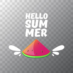 Vector Hello Summer Beach Party Flyer Design template with fresh watermelon slice isolated on transparent background. Hello summer concept label or poster with fruit and typographic text