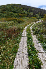 Obraz premium 秋の地蔵山