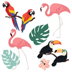 Collection of exotic tropical birds. Trendy vector illustrations. Can be used as elements for postcard, banner, card.